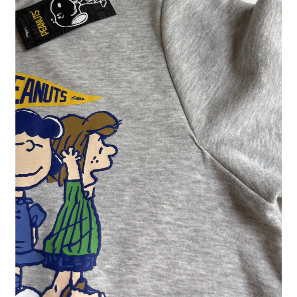 NWT Peanuts Charlie Brown Snoopy Gray Graphic Crewneck Sweatshirt Plus Size 1X - Picture 6 of 9